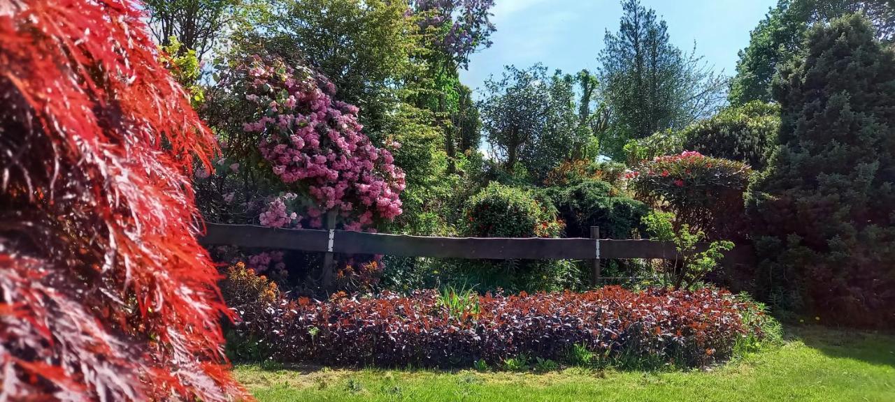 Gite Les Sittelles Tenneville Dış mekan fotoğraf