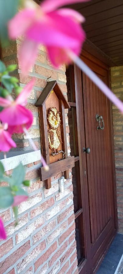 Gite Les Sittelles Tenneville Dış mekan fotoğraf