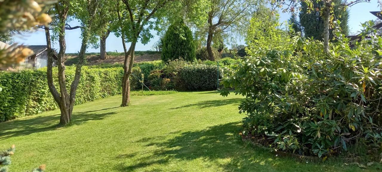 Gite Les Sittelles Tenneville Dış mekan fotoğraf