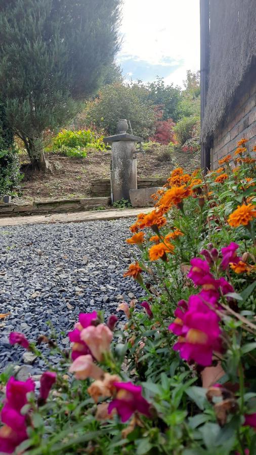 Gite Les Sittelles Tenneville Dış mekan fotoğraf