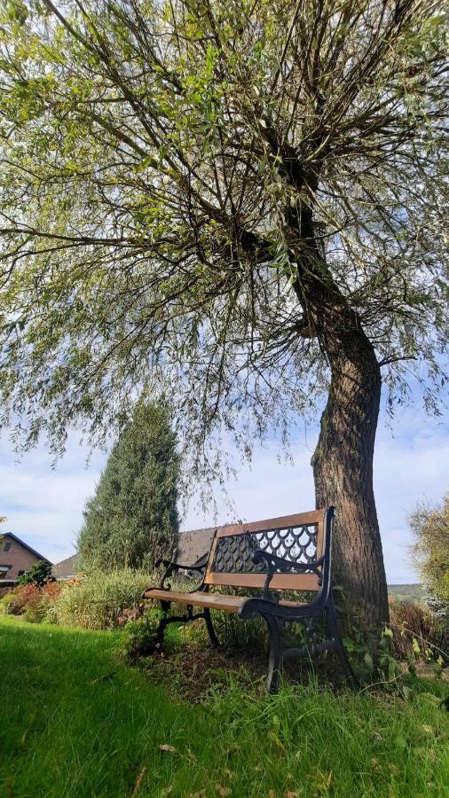 Gite Les Sittelles Tenneville Dış mekan fotoğraf